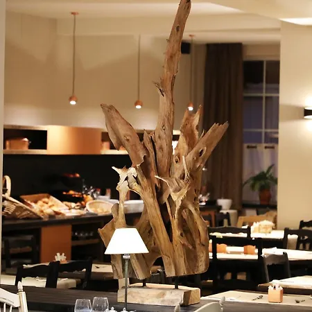 De La Jamagne & Spa جوراردُميه